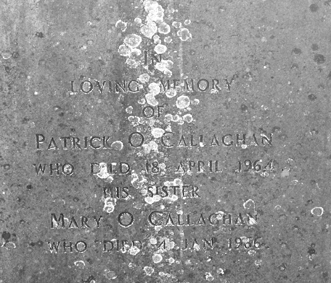 O'Callaghan, Patrick and Mary.jpg 267.1K